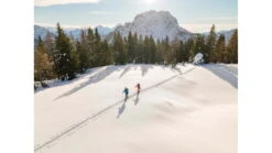 Hagan Off Limits Skis Skins Plus Pure 10 Bindings