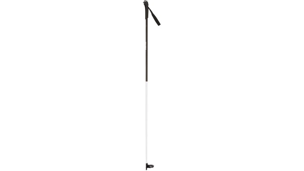 Rossignol FT-500 Poles - Men's 3 Rossignol FT-500 Poles - Men's