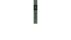 SCOTT Aluguide Poles -Hagan Snow Shop opplanet scott aluguide poles kaki green 42in 56in 2918946312340 av 1