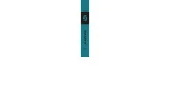 SCOTT Aluguide Poles -Hagan Snow Shop opplanet scott aluguide poles turquoise blue 42in 56in 2918943772340 av 1